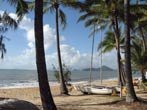 [6] Palm Cove - An der Strandpromenade