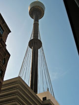 [15] Sydney Tower