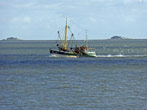 [11] Nordseeinsel Föhr - Krabbenfischer vor Hallig Langeneß