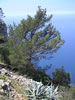 Mallorca Westküste