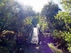 [6] Abel Tasman Coast Track