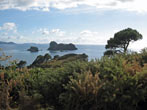 Cathedral Cove