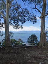 [14] Kaiteriteri Kaka Point