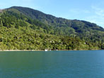 Pelorus Sound mit dem Mail Boat