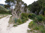 [2] Start Wainui Falls Track