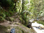 [5] Wainui Falls Track